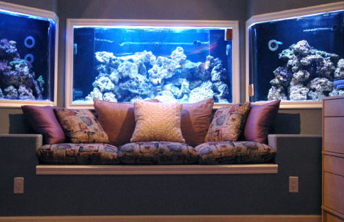 Large Custom Saltwater Aquarium - Captive Aquatics